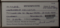 Image Associated With the Occurence